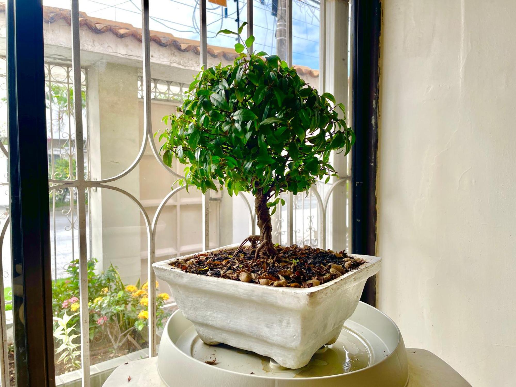 Villa Garza Inn Guayaquil Extérieur photo